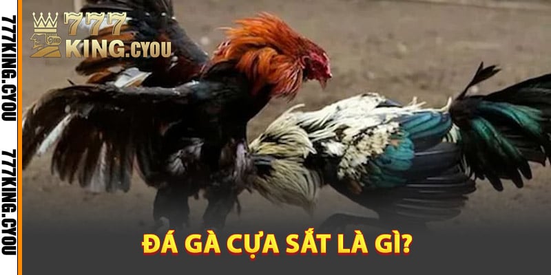 Tìm hiểu đá gà cựa sắt là gì?